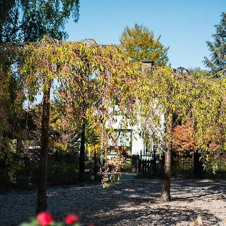 De Musschenberg