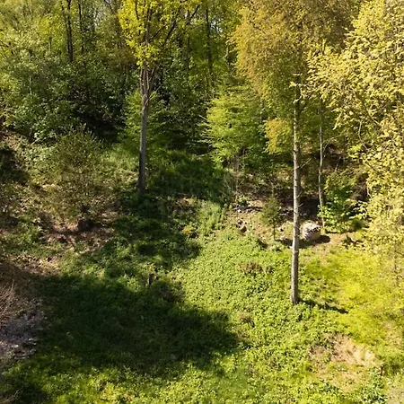De Musschenberg