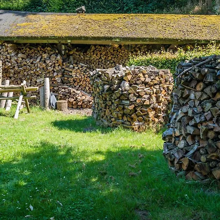 De Musschenberg *